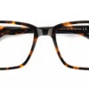 Quincy Prescription Glasses - Handmade Acetate - Tortoise