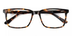 Quincy Prescription Glasses - Handmade Acetate - Tortoise
