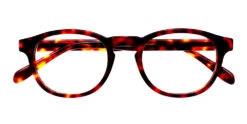 Loomis Eyeglasses Demi